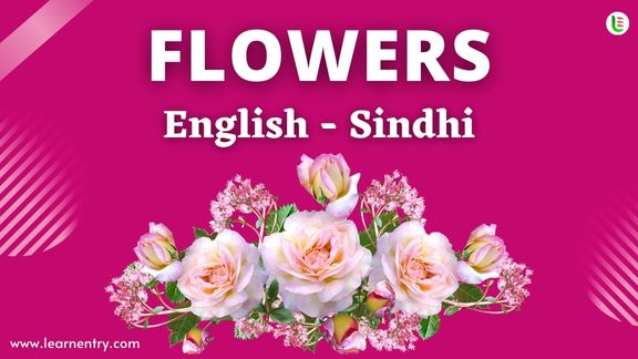 Flower names in Sindhi and English - Common Sindhi Vocabulary