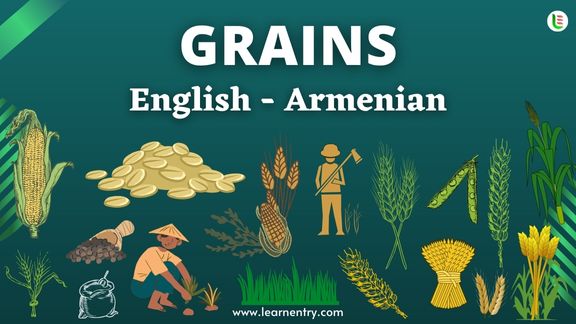 Grains names in Armenian and English - Common Armenian Vocabulary
