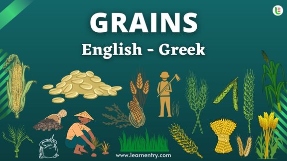 Grains names in Greek and English - Common Greek Vocabulary