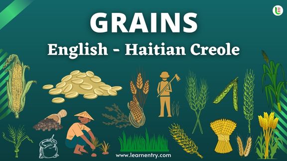 Grains names in Haitian creole and English - Common Haitian creole Vocabulary