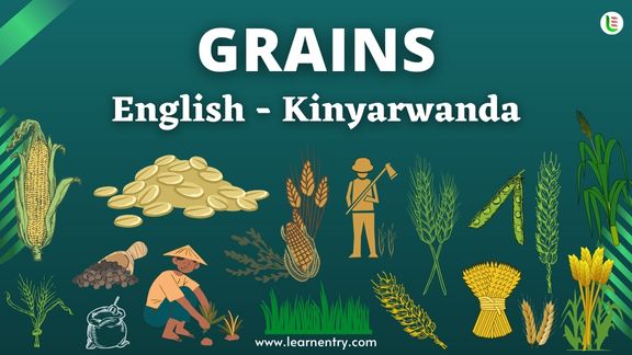 Grains names in Kinyarwanda and English