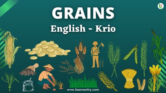 Grains names in Krio and English - Common Krio Vocabulary