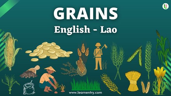 Grains names in Lao and English - Common Lao Vocabulary