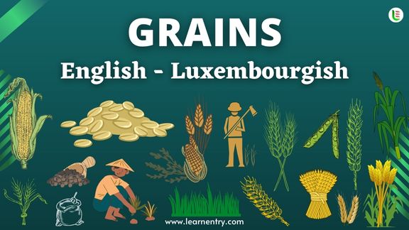 Grains names in Luxembourgish and English - Common Luxembourgish Vocabulary