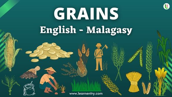 Grains names in Malagasy and English