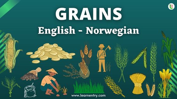 Grains names in Norwegian and English