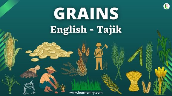 Grains names in Tajik and English