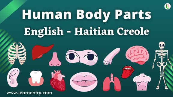 Human Body parts names in Haitian creole and English