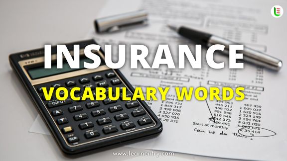 Insurance vocabulary words in English