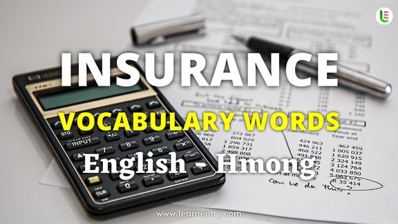 Insurance vocabulary words in Hmong and English