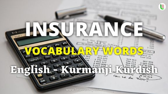 Insurance vocabulary words in Kurmanji kurdish and English