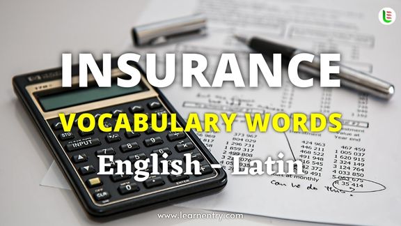 Insurance vocabulary words in Latin and English