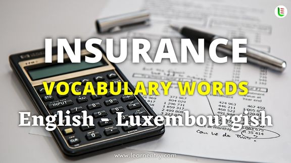 Insurance vocabulary words in Luxembourgish and English