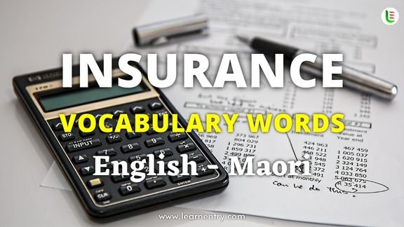 Insurance vocabulary words in Maori and English
