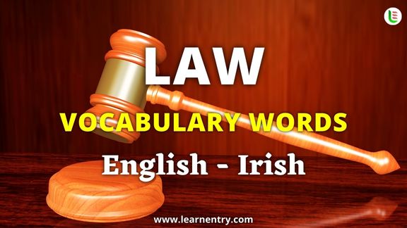 Law vocabulary words in Irish and English