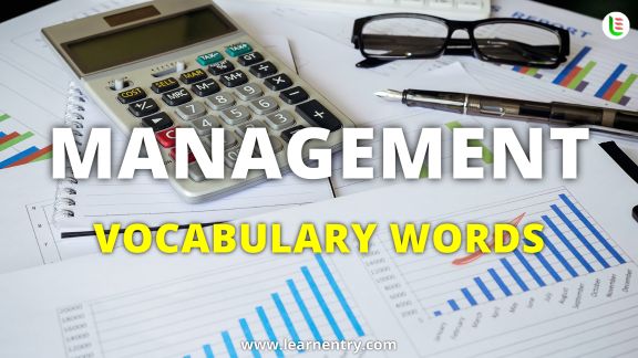 Management vocabulary words in English