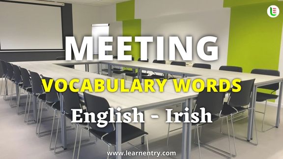 Meeting vocabulary words in Irish and English - Common Irish Vocabulary