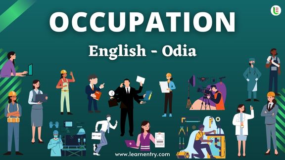 Occupation names in Odia and English - Common Odia Vocabulary