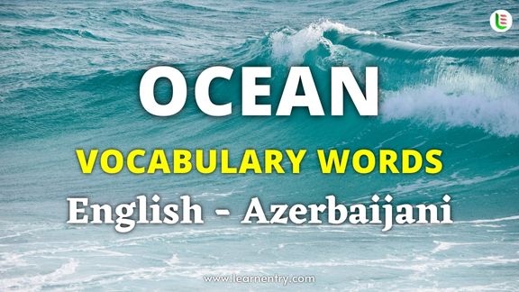 Ocean vocabulary words in Azerbaijani and English
