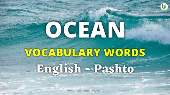 Ocean vocabulary words in Pashto and English
