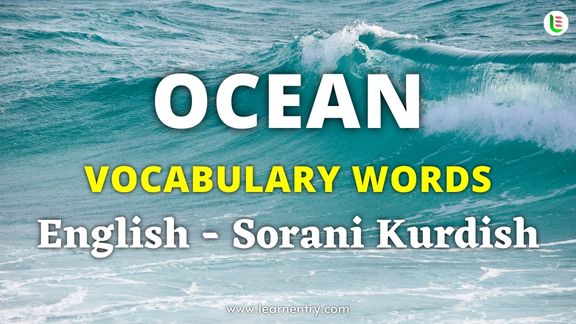 Ocean vocabulary words in Sorani kurdish and English - Common Sorani kurdish Vocabulary