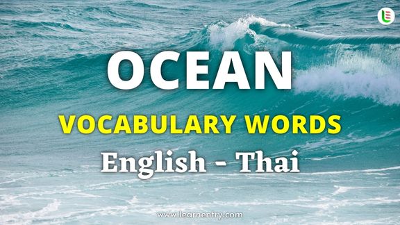 Ocean vocabulary words in Thai and English