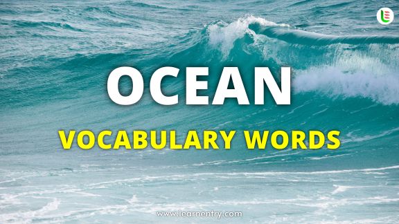Ocean vocabulary words in English