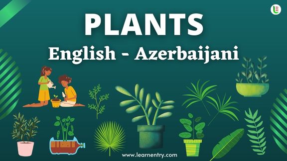 Plant names in Azerbaijani and English