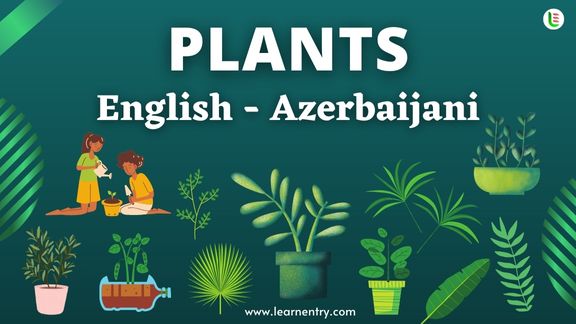 Plant names in Azerbaijani and English - Common Azerbaijani Vocabulary