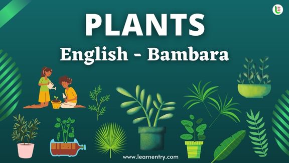 Plant names in Bambara and English
