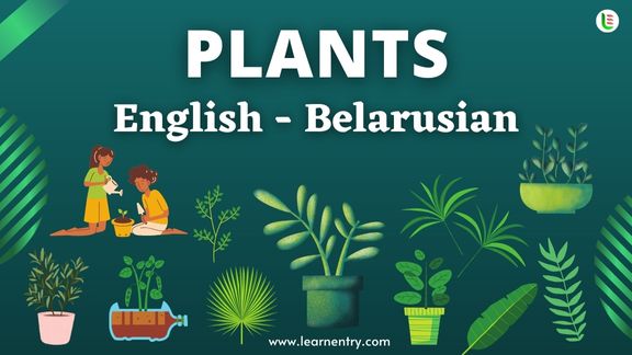 Plant names in Belarusian and English