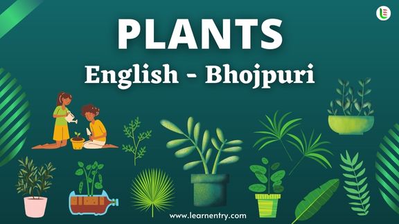 Plant names in Bhojpuri and English - Common Bhojpuri Vocabulary