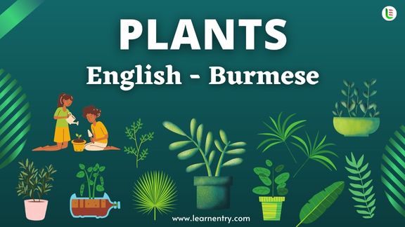 Plant names in Burmese and English