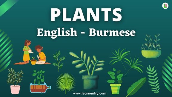 Plant names in Burmese and English - Common Burmese Vocabulary