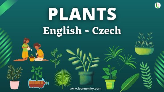Plant names in Czech and English - Common Czech Vocabulary