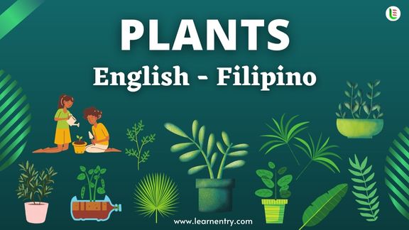 Plant names in Filipino and English