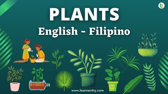 Plant names in Filipino and English - Common Filipino Vocabulary