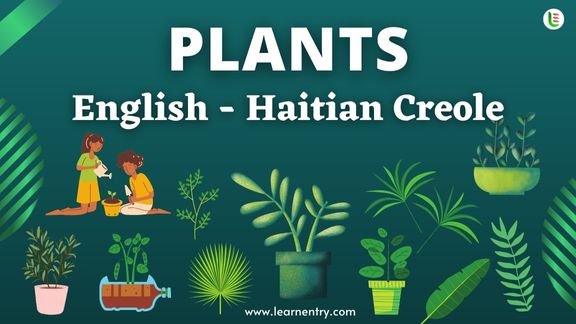 Plant names in Haitian creole and English