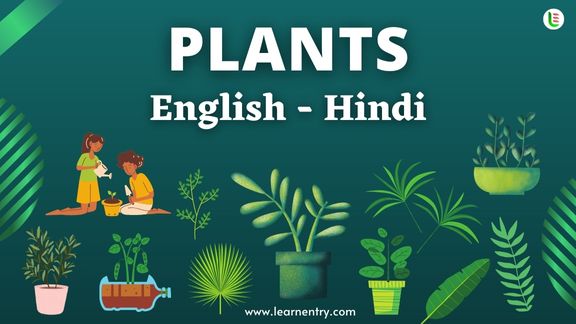 Plant names in Hindi and English - Common Hindi Vocabulary