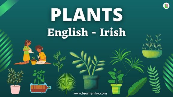 Plant names in Irish and English