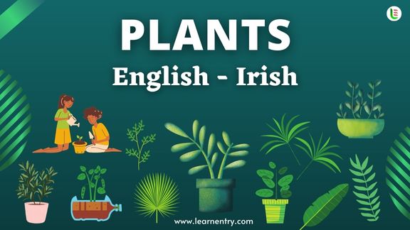 Plant names in Irish and English - Common Irish Vocabulary