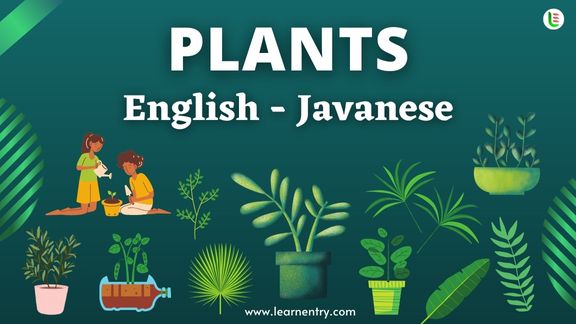 Plant names in Javanese and English - Common Javanese Vocabulary