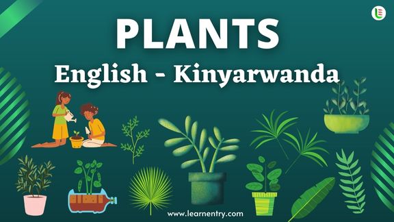Plant names in Kinyarwanda and English - Common Kinyarwanda Vocabulary