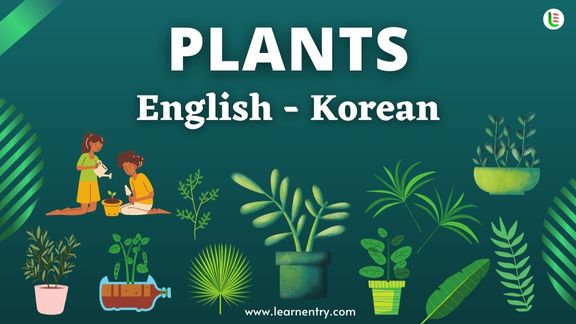 Plant names in Korean and English - Common Korean Vocabulary