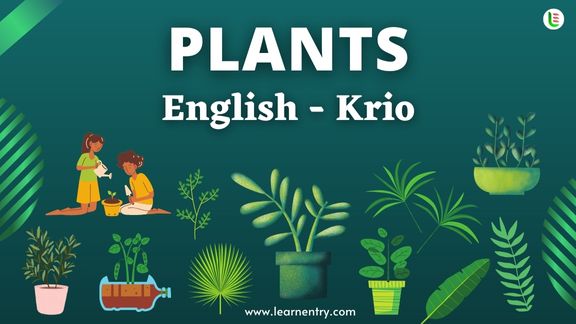 Plant names in Krio and English