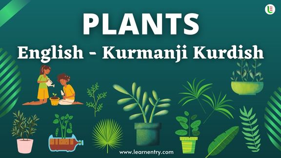 Plant names in Kurmanji kurdish and English