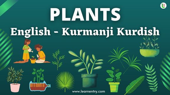Plant names in Kurmanji kurdish and English - Common Kurmanji kurdish Vocabulary