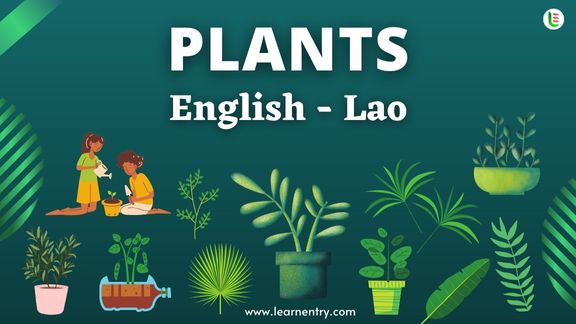Plant names in Lao and English