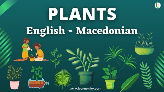 Plant names in Macedonian and English