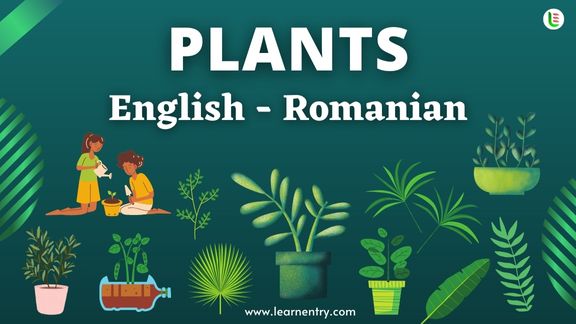Plant names in Romanian and English - Common Romanian Vocabulary